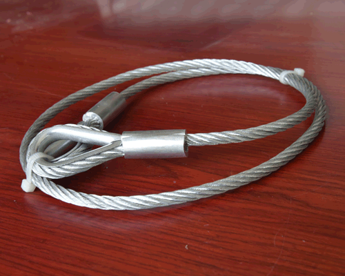 【回首·展望】砥礪2024，闊步2025，特萊得一直在路上！